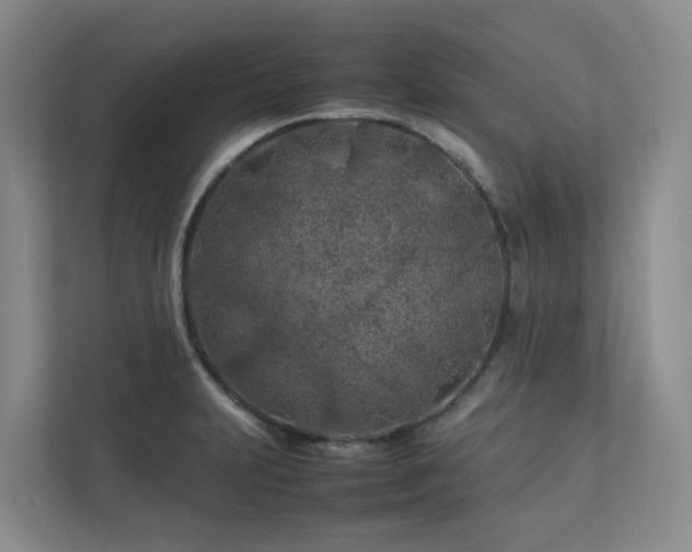 X0000112751231200908201410
