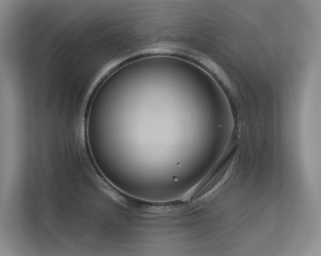 X0000112751232200908201410
