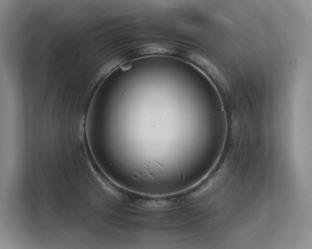 X0000112751233200908201411