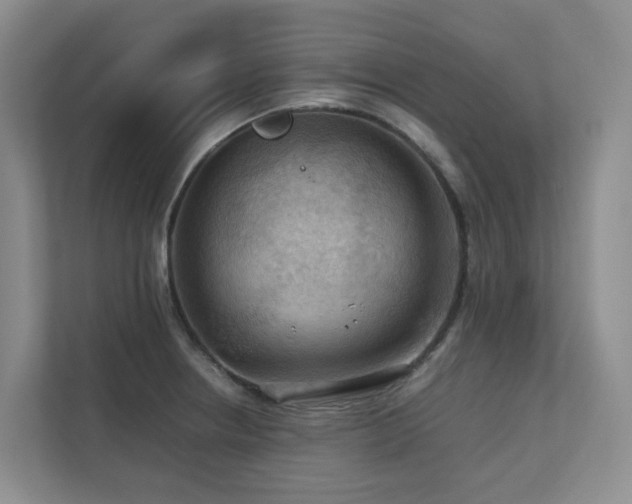 X0000112751234200908201411
