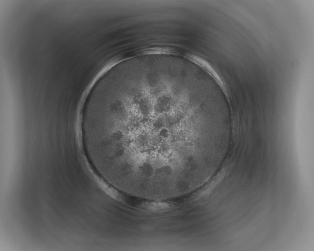 X0000112751235200908201411