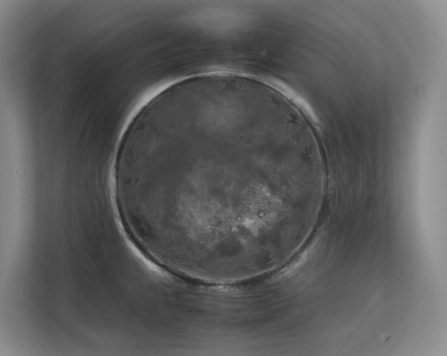X0000112751239200908201411