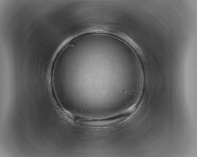 X0000112751240200908201411