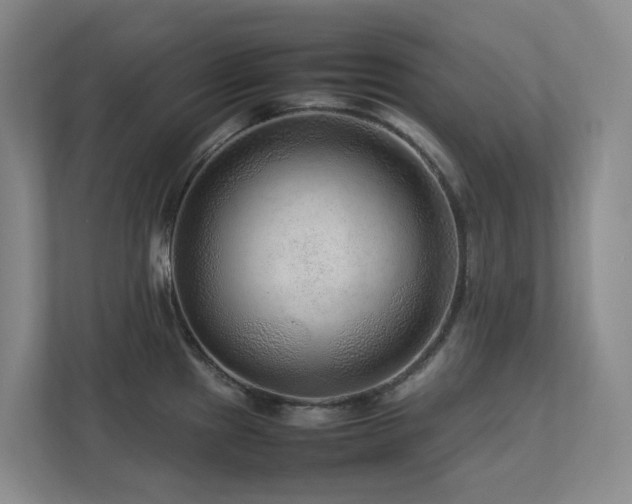 X0000112751241200908201411