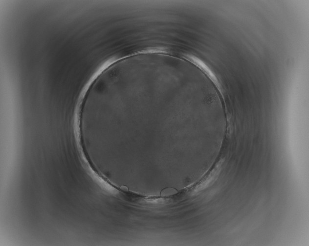 X0000112751243200908201411