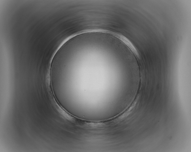 X0000112751244200908201411