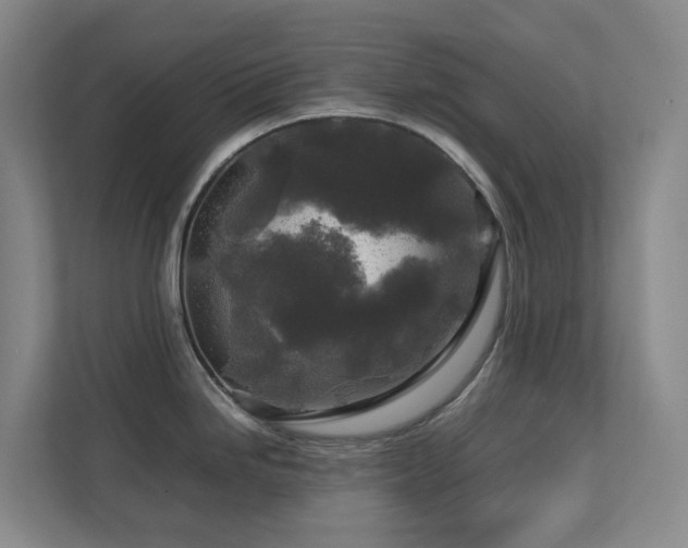 X0000112751246200908201411