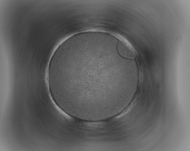 X0000112751247200908201411