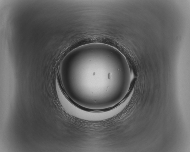 X0000112751249200908201410