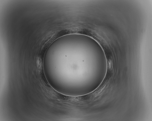 X0000112751251200908201410