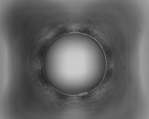 X0000112751253200908201410