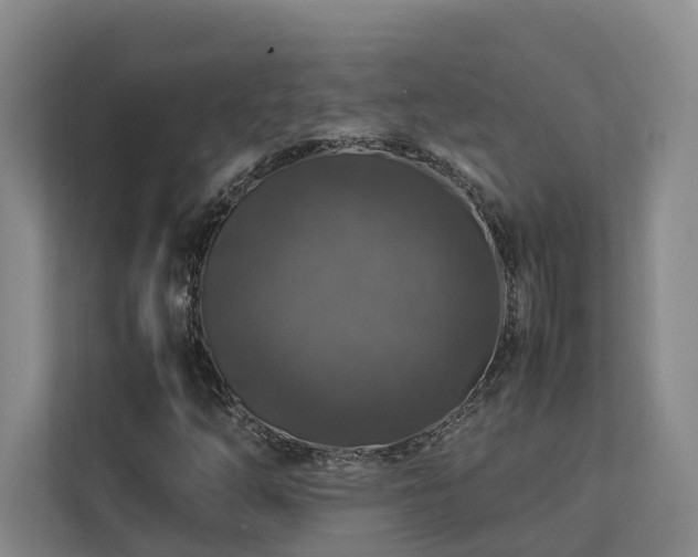 X0000112751254200908201410