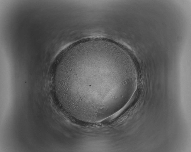 X0000112751255200908201410