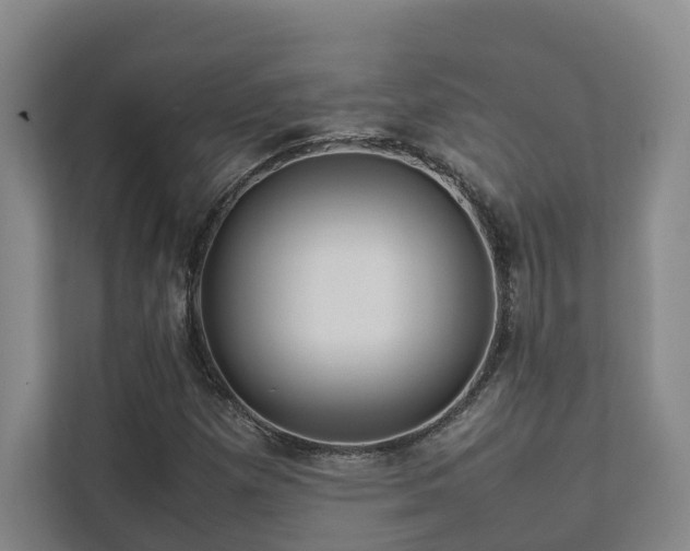 X0000112751257200908201410
