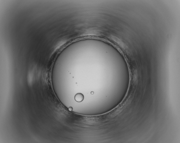 X0000112751258200908201410