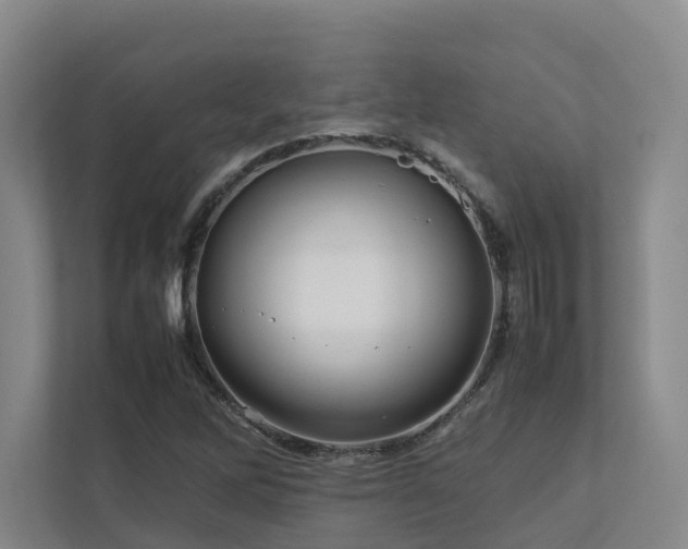 X0000112751262200908201410
