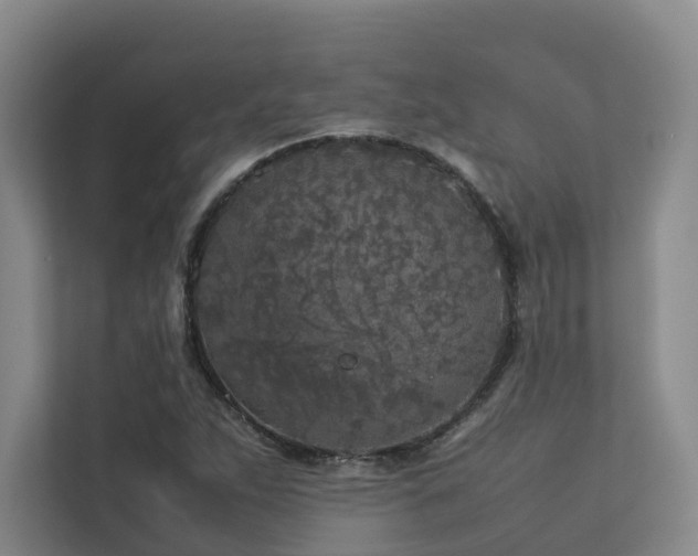 X0000112751263200908201410