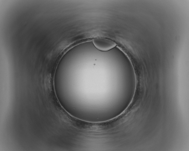 X0000112751265200908201410