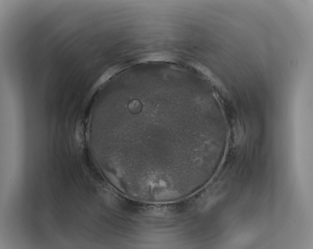 X0000112751266200908201410