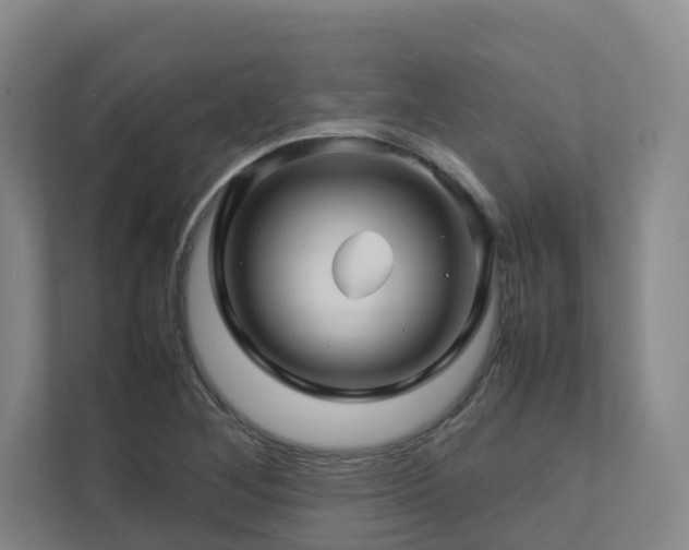 X0000112751268200908201410