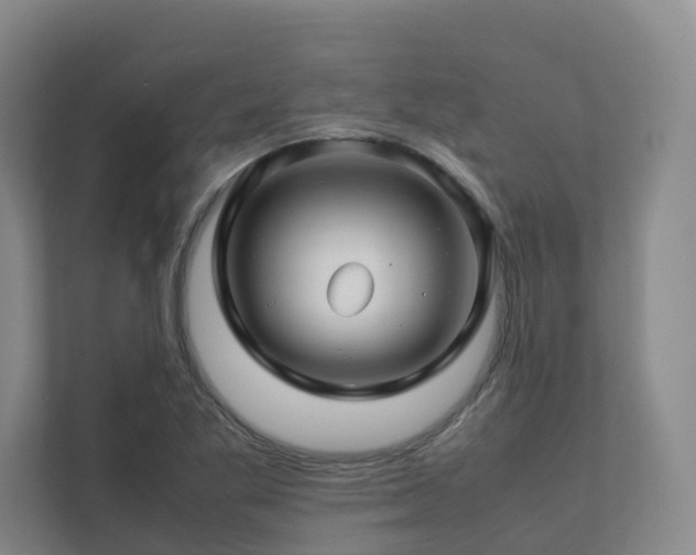 X0000112751269200908201410