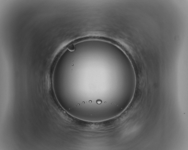 X0000112751271200908201410
