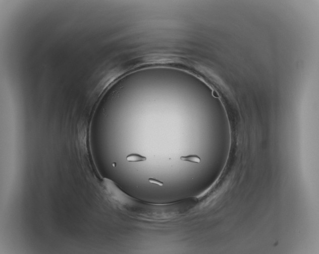 X0000112751273200908201410