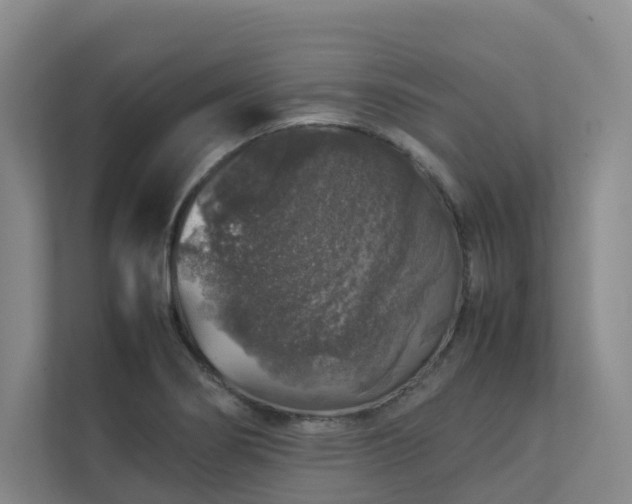 X0000112751274200908201410