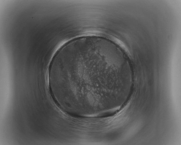 X0000112751275200908201410