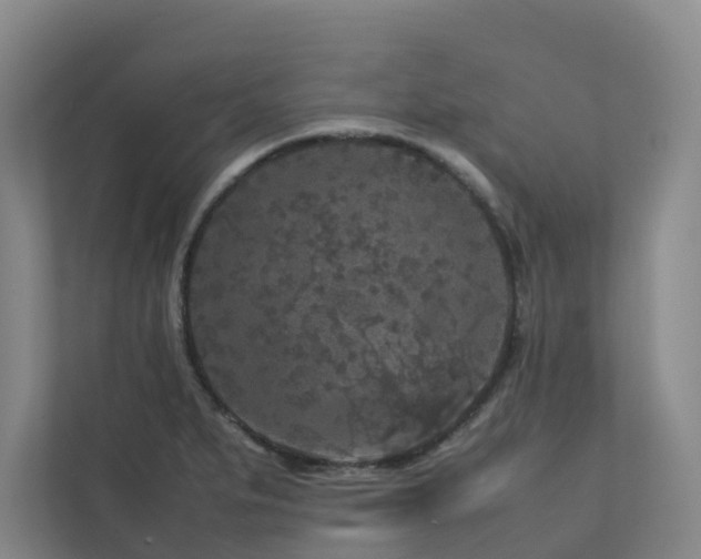 X0000112751279200908201410