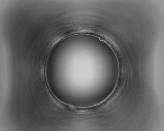 X0000112751281200908201410