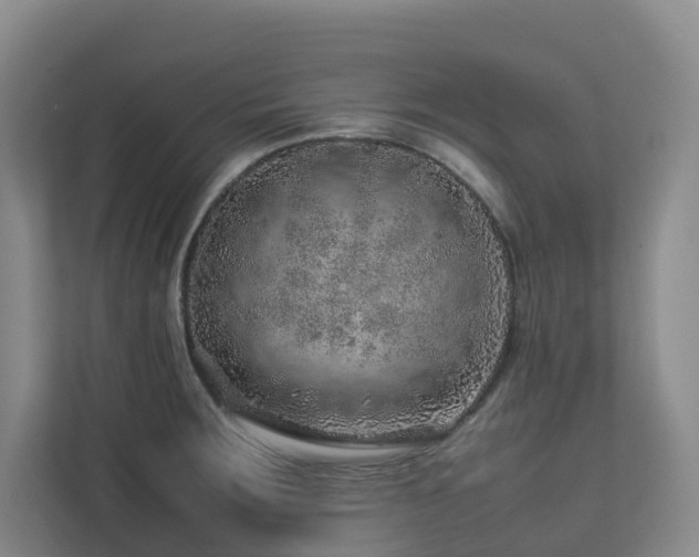 X0000112751283200908201410