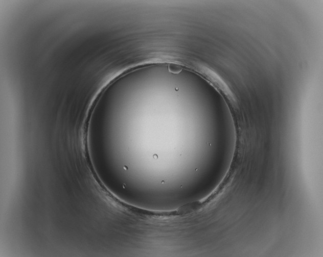 X0000112751284200908201410