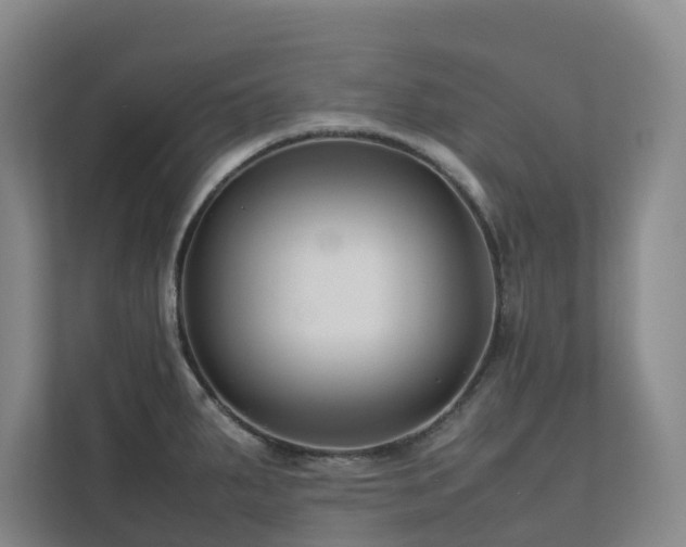X0000112751287200908201410