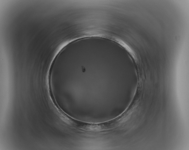 X0000112751291200908201409