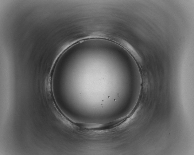 X0000112751292200908201409