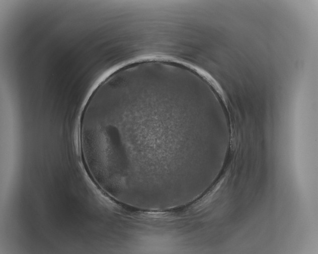 X0000112751295200908201409