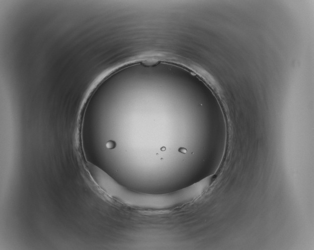 X0000112751296200908201409