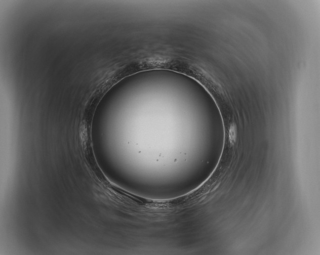 X0000112751299200908201409