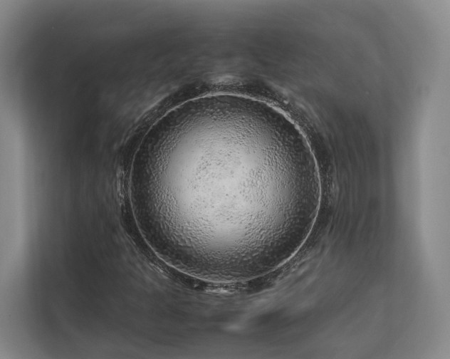 X0000112751301200908201409
