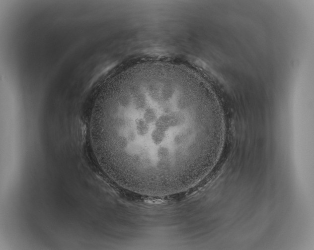 X0000112751302200908201409
