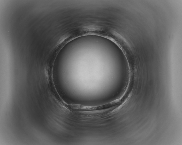 X0000112751305200908201409