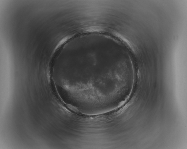 X0000112751306200908201409