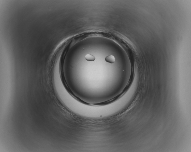 X0000112751310200908201409