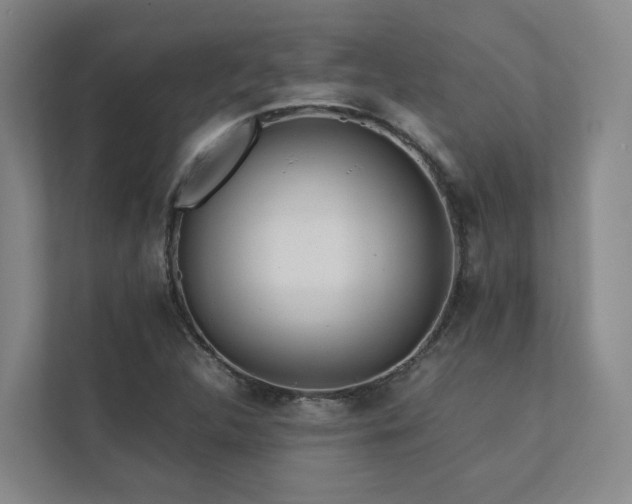 X0000112751312200908201409