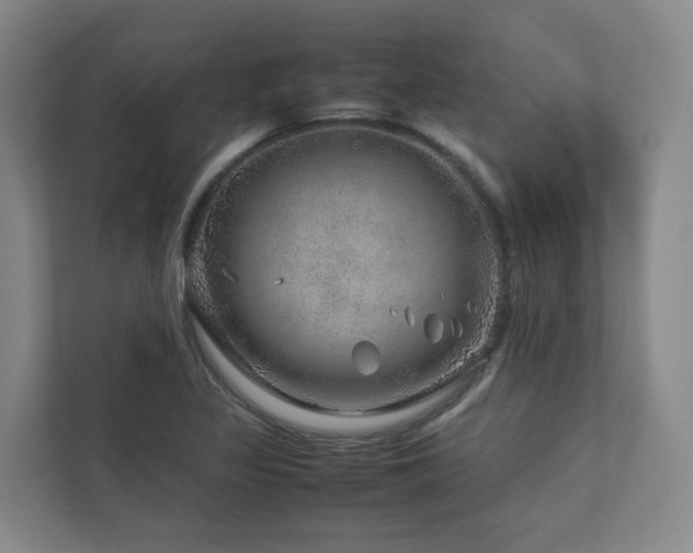 X0000112751317200908201409