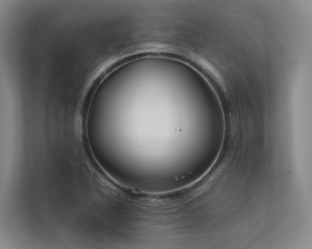 X0000112751318200908201409
