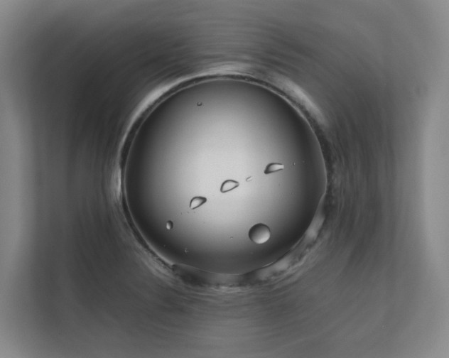 X0000112751324200908201409