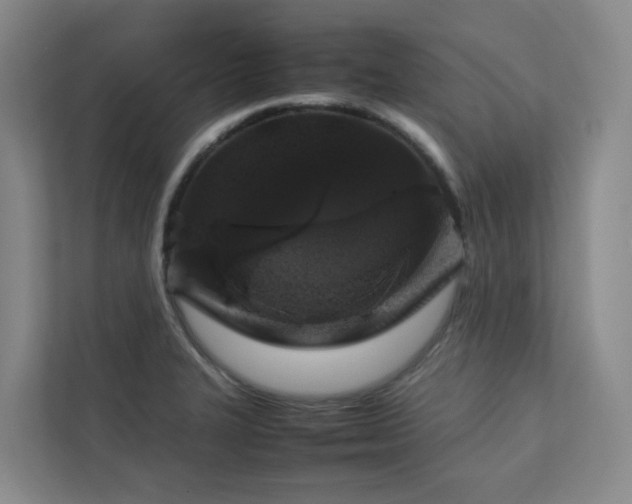X0000112751327200908201409
