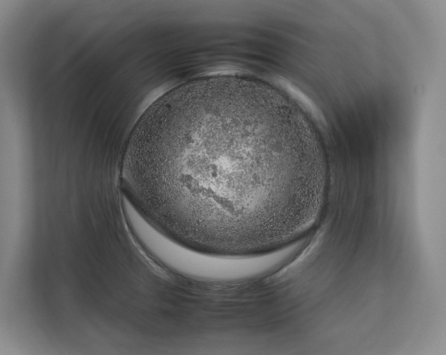 X0000112751329200908201409
